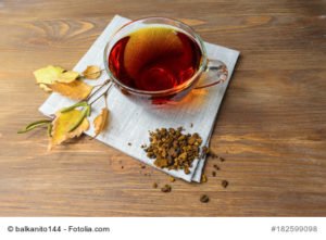 Chaga Pilz Kaffee Erfahrungen Wirkungen